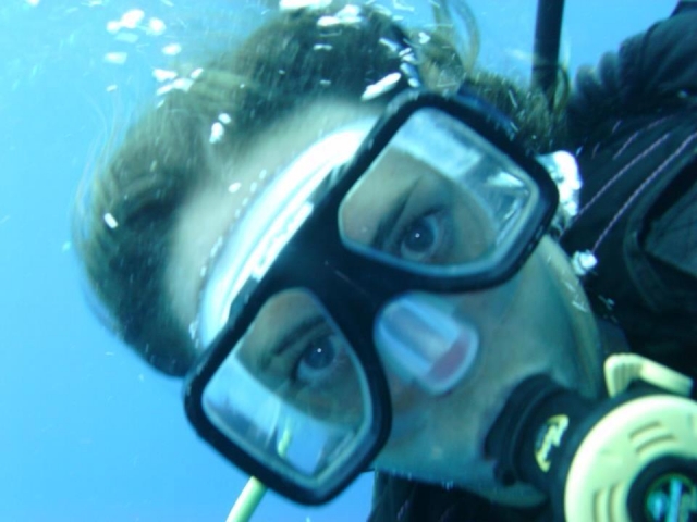 Under the sea 